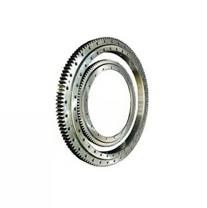 IKO Full Complement Cylindrical Roller Bearing Nas5040 Vuur SL045040 Nnf5040 Ada-2lsv