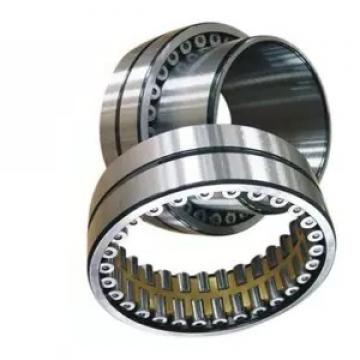 Rolling Mill Bearing Nu219 with Brass Cage M Nu Nj Nup Nnu N220 Roller Bearing