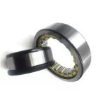 Nu2206 Ecp Japan Quality Cylindrical Roller Bearing