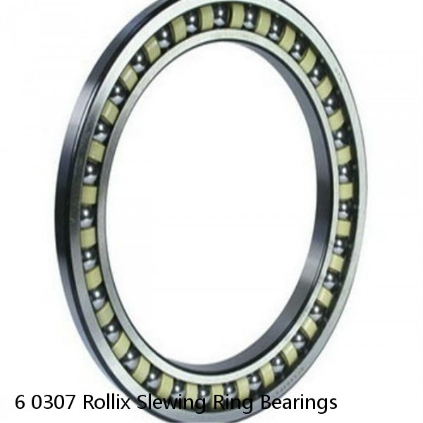 6 0307 Rollix Slewing Ring Bearings