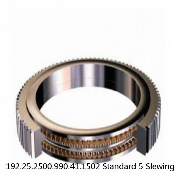 192.25.2500.990.41.1502 Standard 5 Slewing Ring Bearings