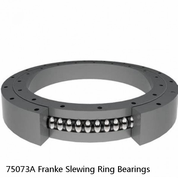 75073A Franke Slewing Ring Bearings #1 small image