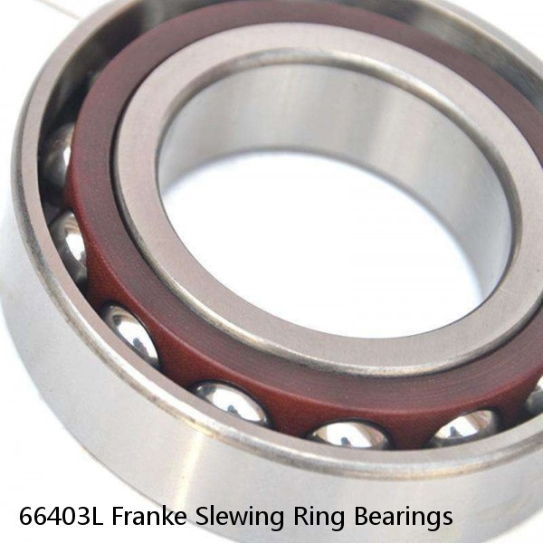 66403L Franke Slewing Ring Bearings