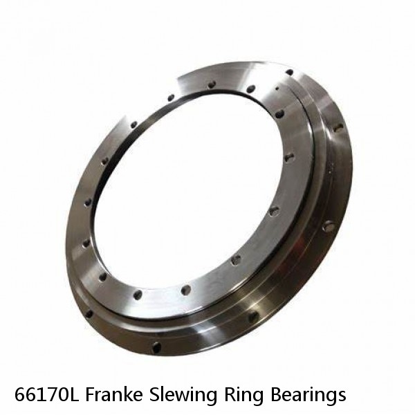 66170L Franke Slewing Ring Bearings #1 small image