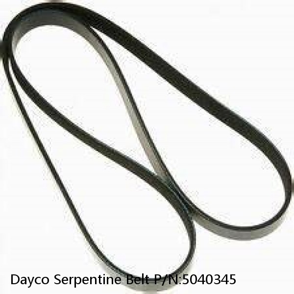 Dayco Serpentine Belt P/N:5040345