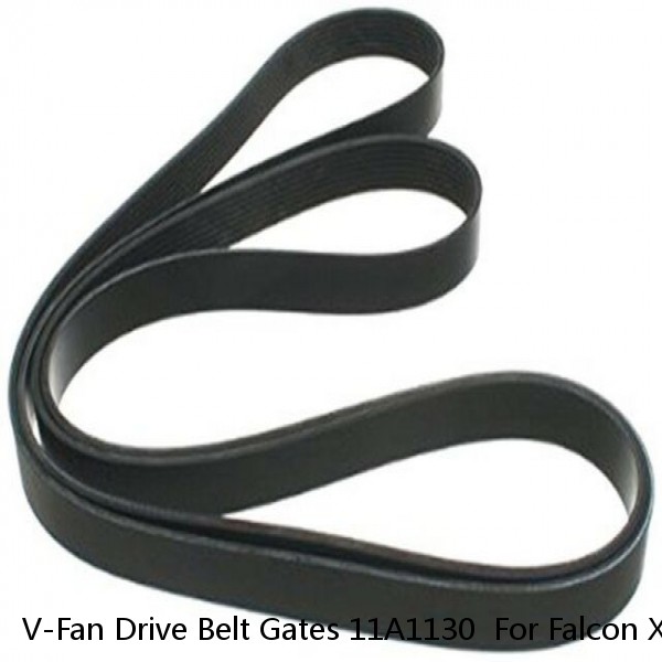 V-Fan Drive Belt Gates 11A1130  For Falcon XR lazer KA-KB Mazda 323 BMW 2500 Rov #1 small image