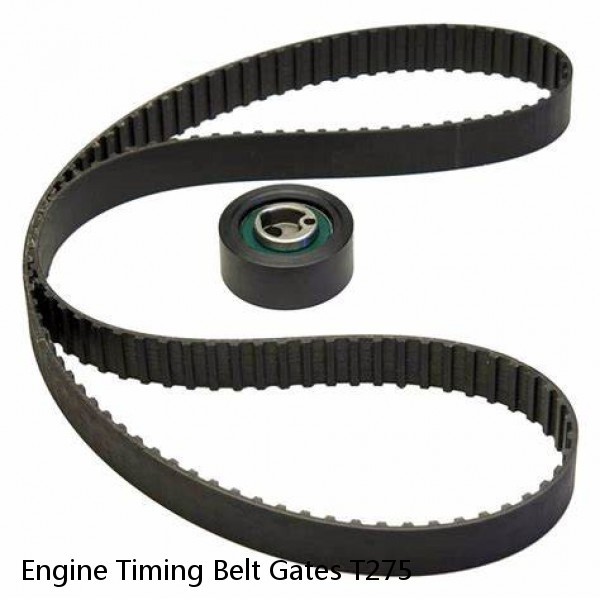 Engine Timing Belt Gates T275 #1 small image