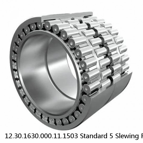 12.30.1630.000.11.1503 Standard 5 Slewing Ring Bearings #1 image