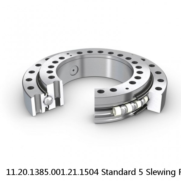 11.20.1385.001.21.1504 Standard 5 Slewing Ring Bearings #1 image