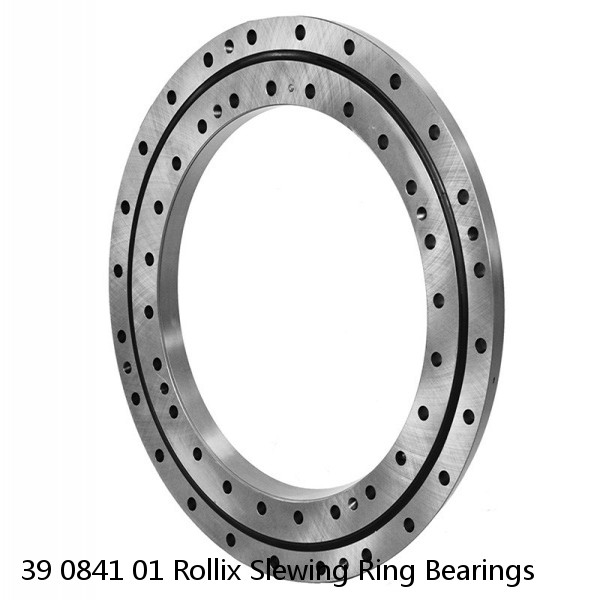 39 0841 01 Rollix Slewing Ring Bearings #1 image