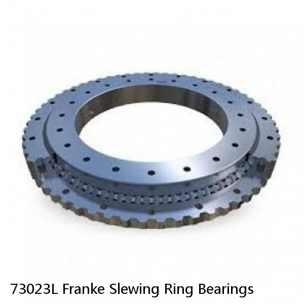 73023L Franke Slewing Ring Bearings #1 image