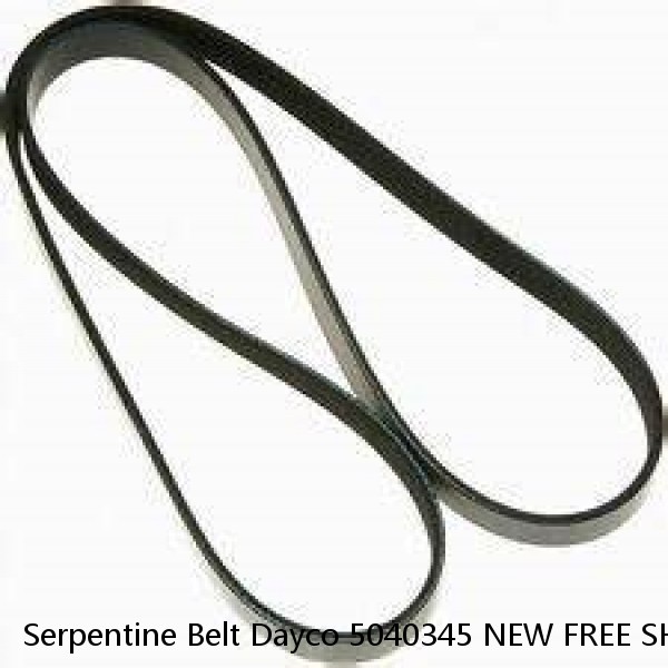 Serpentine Belt Dayco 5040345 NEW FREE SHIPPING in the USA #1 image