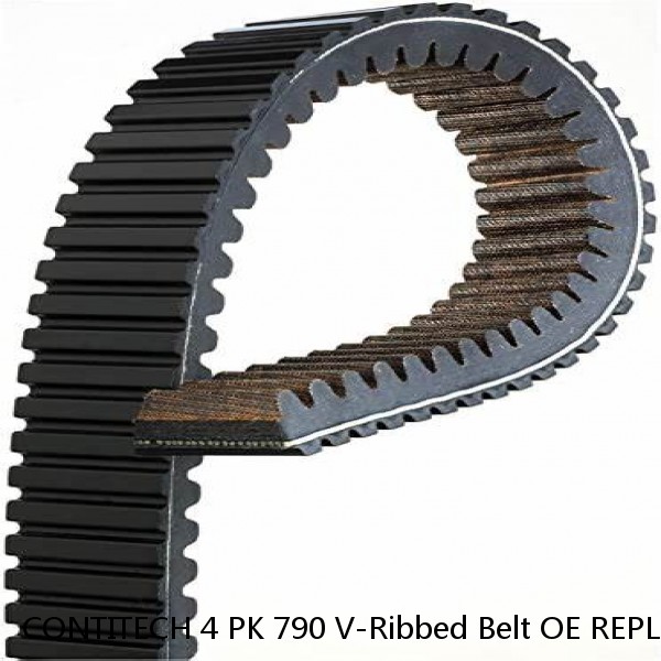 CONTITECH 4 PK 790 V-Ribbed Belt OE REPLACEMENT #1 image