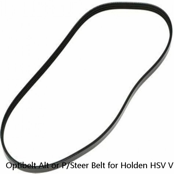 Optibelt Alt or P/Steer Belt for Holden HSV VN VR VS 5.0L V8 1988-1999 11A1130 #1 image