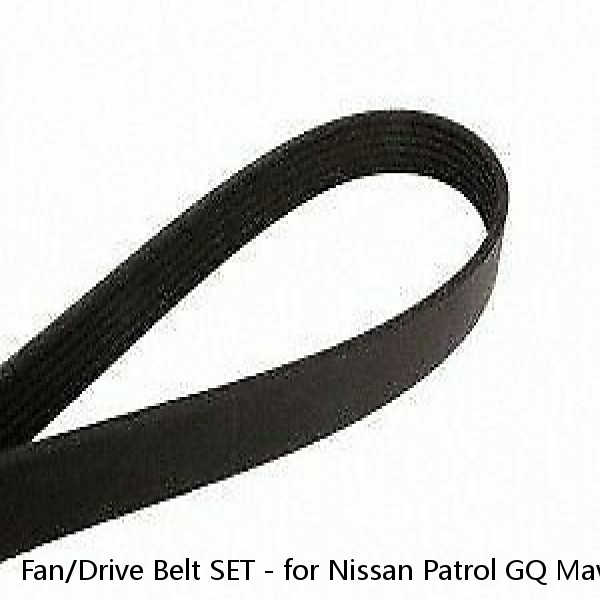 Fan/Drive Belt SET - for Nissan Patrol GQ Maverick 4.2 P TB42 (88-97)  #1 image