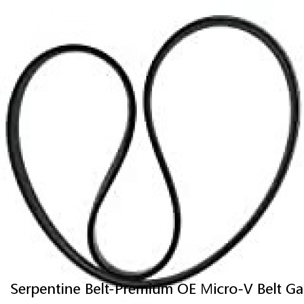 Serpentine Belt-Premium OE Micro-V Belt Gates fits 05-07 Ford Focus 2.0L-L4 #1 image
