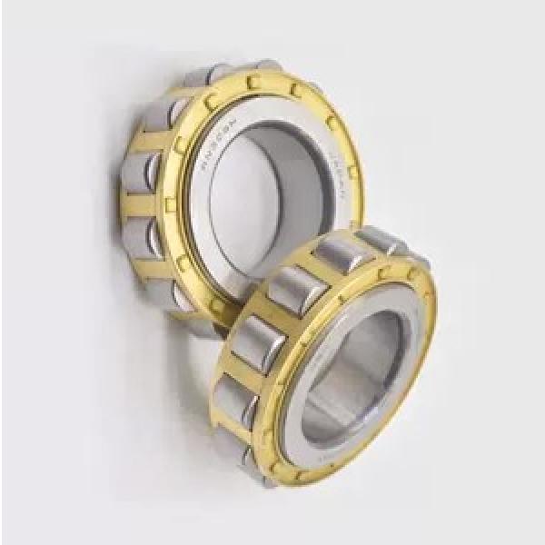 Hot Sale 105*60*26 mm Cylindrical Roller Bearing Nu 1021 #1 image