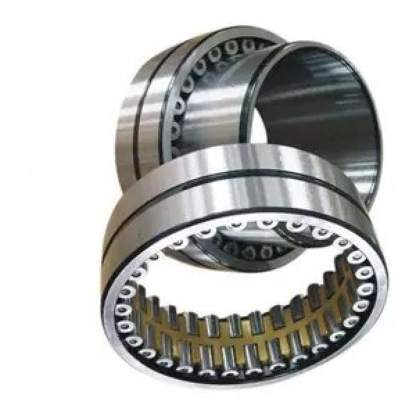 Rolling Mill Bearing Nu219 with Brass Cage M Nu Nj Nup Nnu N220 Roller Bearing #1 image